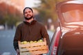 Man with wooden box of yellow ripe golden apples at the orchard farm loads it to his car trunk. Grower harvesting in the Royalty Free Stock Photo