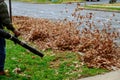 man in work blows off yellow and red fallen autumn leaves in cleaning yard with wind turbine, cleaning lawn Royalty Free Stock Photo