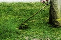 Man in work clothes mows green grass with a trimmer Royalty Free Stock Photo