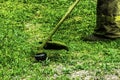 Man in work clothes mows green grass with a trimmer Royalty Free Stock Photo