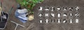 Man work in the vegetable garden place a plant in the ground, icons and symbols of gardening equipment