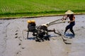 Man worker field rice Bali Royalty Free Stock Photo