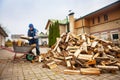 A man worker loads firewood into a wheelbarrow for heating the house,