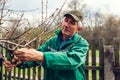 Man pruning tree with clippers. Male farmer cuts branches in spring garden with pruning shears or secateurs Royalty Free Stock Photo