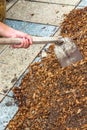 Man worker using hoe equipment on the soil clay dirt Royalty Free Stock Photo