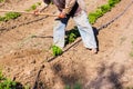 Man working agriculture, using hoe to bring earth