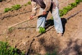 Man working agriculture, using hoe to bring earth