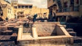 Man working as a tanner in the dye pots at leather tanneries at medina, Fez, Morocco. Royalty Free Stock Photo