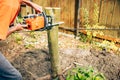 Man working with chainsaw cutting down stump Royalty Free Stock Photo