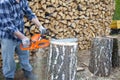 A man working a chainsaw. harvesting wood for the winter. Birch firewood Royalty Free Stock Photo