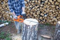 A man working a chainsaw. harvesting wood for the winter. Birch firewood Royalty Free Stock Photo