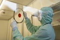 Man working in clean room at JCS Avangard, St. Petersburg