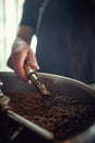 A man is working with a coffee beans grinder. Coffee, beverage, producing Royalty Free Stock Photo