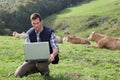 Man working in field with cattle