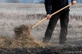 Man working on the field covering the ground with straw mulch using pitchfork Royalty Free Stock Photo