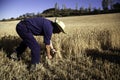 Man working field