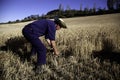 Man working field