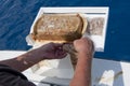 Man working with fish bait