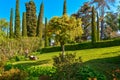 Man Working In Garden Cutting Grass