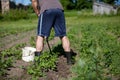 Man working garden with a hoe Royalty Free Stock Photo