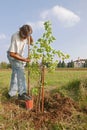 Man planting a new tree Royalty Free Stock Photo