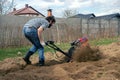 Man working in the garden with garden tiller. tractor cultivating and loosens soil field Royalty Free Stock Photo