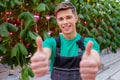 Man working in a greenhouse Royalty Free Stock Photo