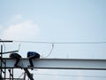 Man Working on the Working at height on construction Royalty Free Stock Photo