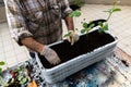 Man working in home gardening