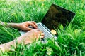 Man working on laptop pc computer in city park on green grass outdoors Royalty Free Stock Photo