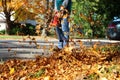 Man working with leaf blower: the leaves are being swirled up and down on a sunny day.