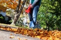 Man working with leaf blower: the leaves are being swirled up and down on a sunny day.