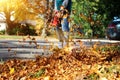 Man working with leaf blower: the leaves are being swirled up and down on a sunny day.