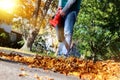 Man working with leaf blower: the leaves are being swirled up and down on a sunny day.