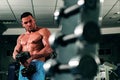 Man working out in gym doing exercise for biceps with dumbbells. Muscular and strong guy exercising. Sportsman doing Royalty Free Stock Photo