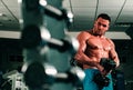 Man working out in gym doing exercise for biceps with dumbbells. Muscular and strong guy exercising. Sportsman doing Royalty Free Stock Photo