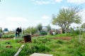 Gardener working in a community garden Royalty Free Stock Photo