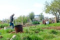 Gardener working in a community garden Royalty Free Stock Photo