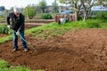 Gardener working in a community garden Royalty Free Stock Photo