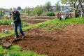 Gardener working in a community garden Royalty Free Stock Photo