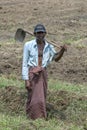 A man working in the rice fields on the road from Sigiriya to Anuradhapura in central Sri Lanka.