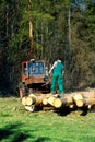 Man working with timber