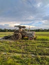 Man working with tractor on a rice field of tinsukia , Assam,India  to harvest rice crops in the aummer on June 21 of 2019 Royalty Free Stock Photo