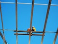 Man Working on the Working at height on construction Royalty Free Stock Photo