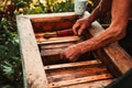 A man works in an apiary with tools near the beehive with honey and bees 17 Royalty Free Stock Photo