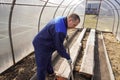 A man works in a vegetable garden in early spring. Digs the ground. Working in a greenhouse