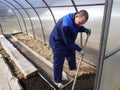 A man works in a vegetable garden in early spring. Digs the ground. Working in a greenhouse