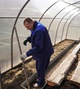 A man works in a vegetable garden in early spring. Digs the ground. Working in a greenhouse