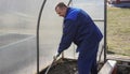 A man works in a vegetable garden in early spring. Digs the ground. Working in a greenhouse