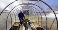 A man works in a vegetable garden in early spring. Digs the ground. Working in a greenhouse